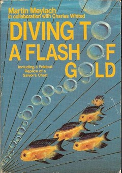 Diving to a Flash of Gold by Meylach, Martin