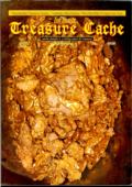 Treasure Cache 2008 Annual